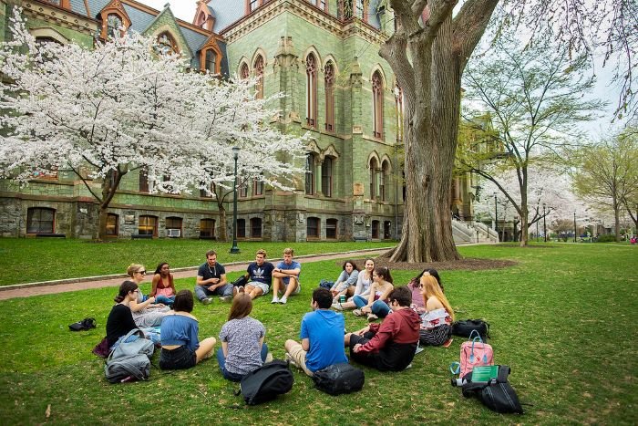 Exploring the University of Pennsylvania: A Comprehensive Guide